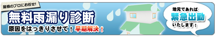 郡上市　雨漏り診断　屋根のプロ